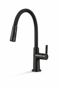 Mitigeur Évier Cuisine Noir Mat